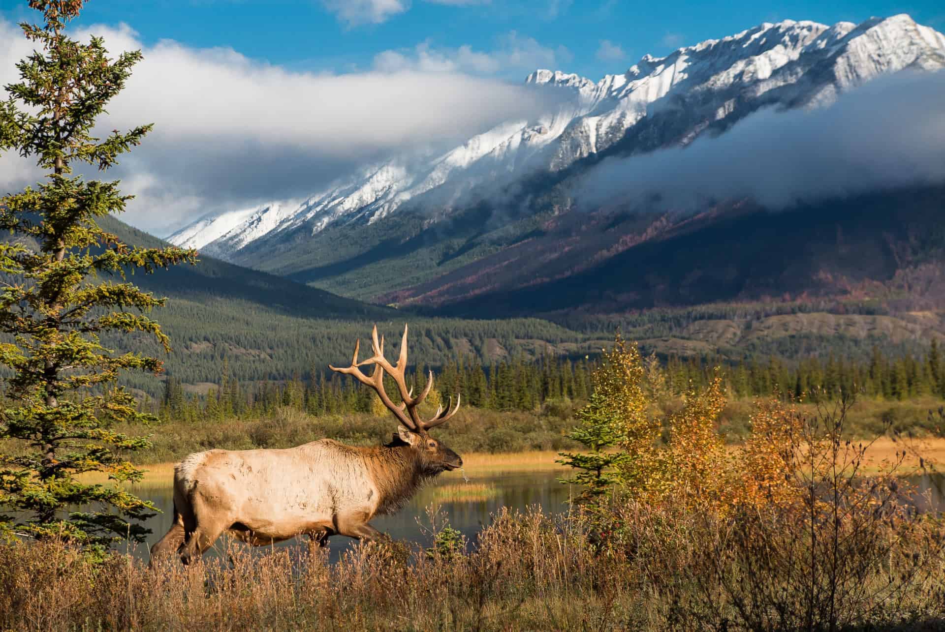quand partir au canada quand partir au canada