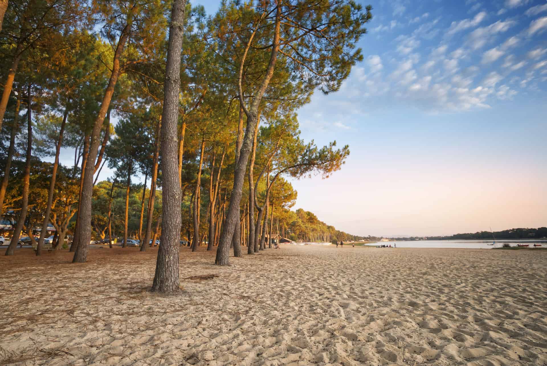 que faire dans les landes hossegor que faire dans les landes hossegor