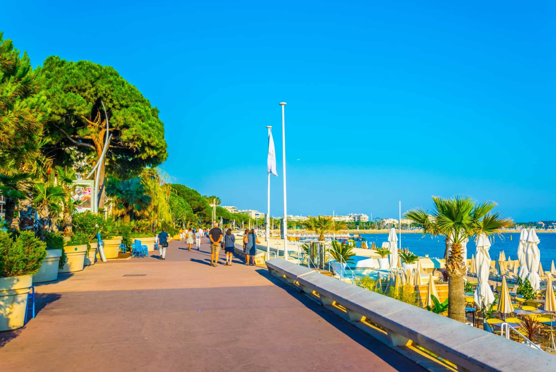 boulevard de la croisette boulevard de la croisette