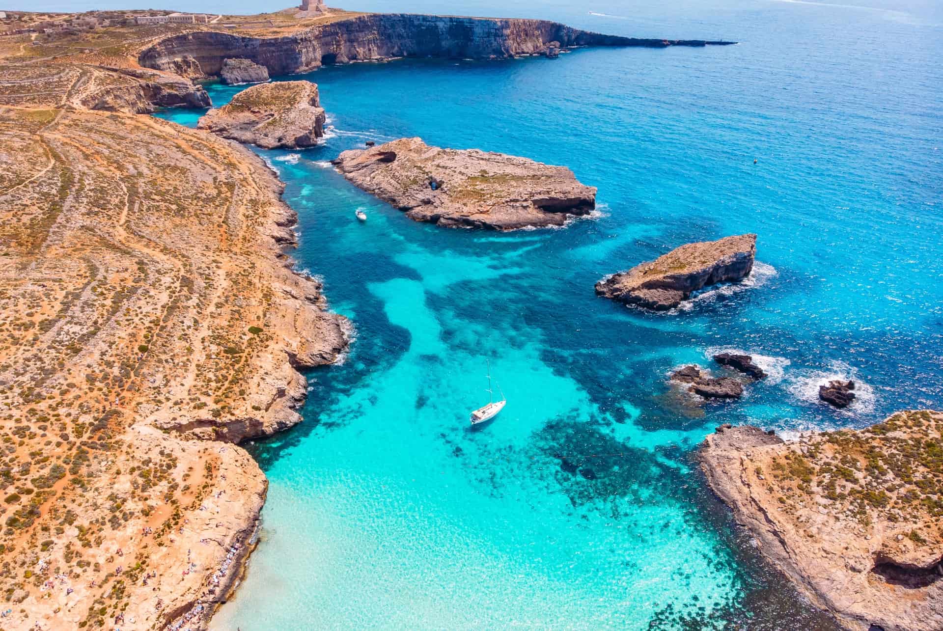 comino malte