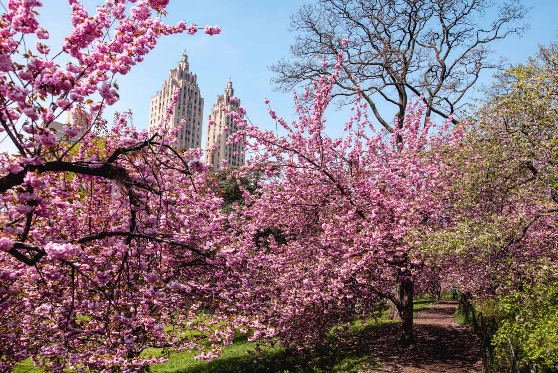 quand partir a new york printemps quand partir a new york printemps