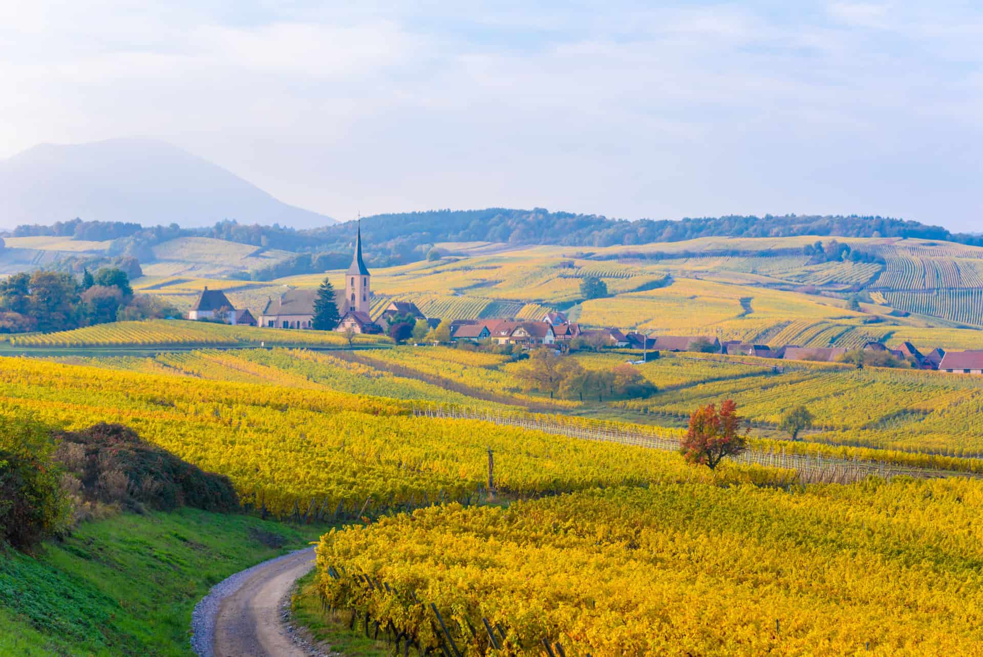 Mittelbergheim Mittelbergheim