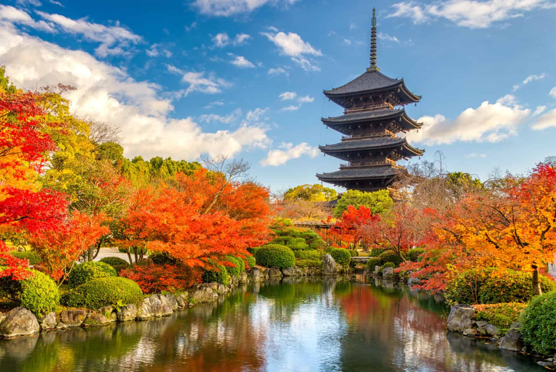 erables rouges japon automne erables rouges japon automne