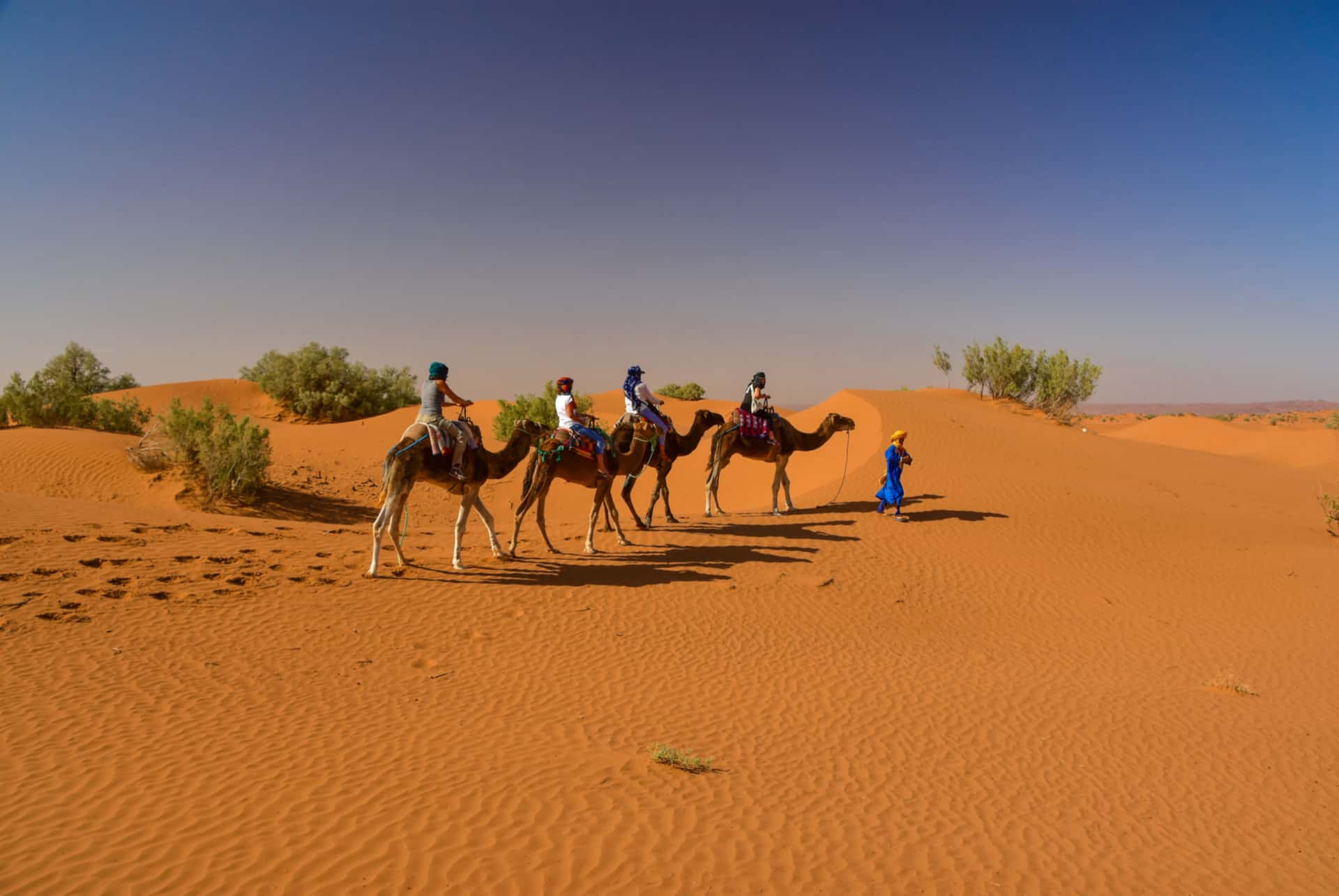 excursion desert de zagora excursion desert de zagora