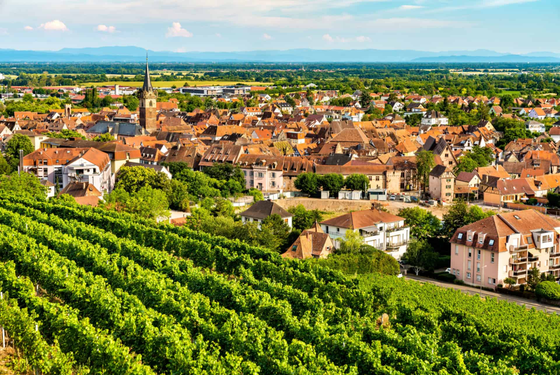 obernai vignobles obernai vignobles plus beaux villages alsace