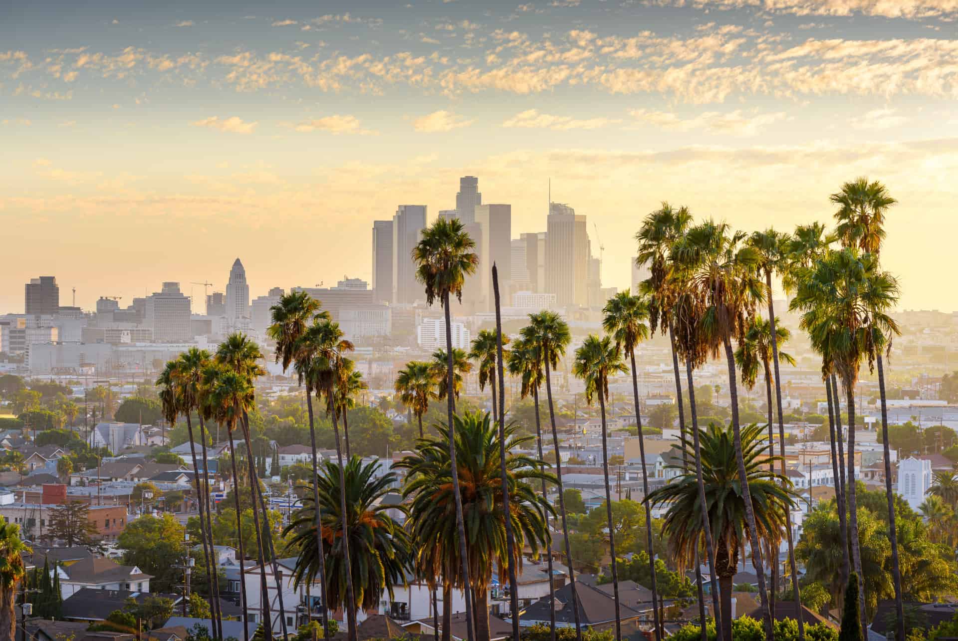 paysage los angeles paysage los angeles