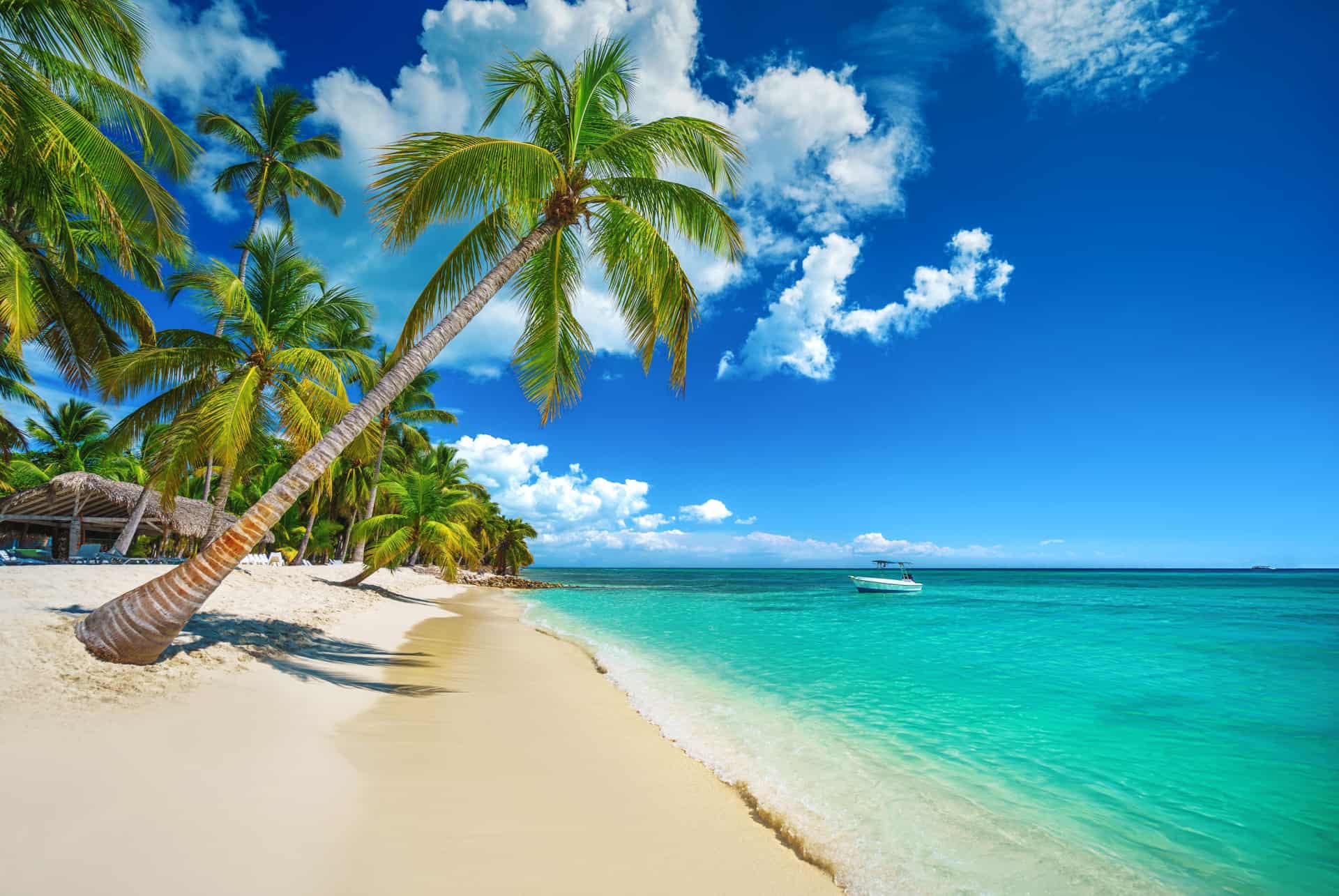 que faire en republique dominicaine playa bavaro que faire en republique dominicaine playa bavaro