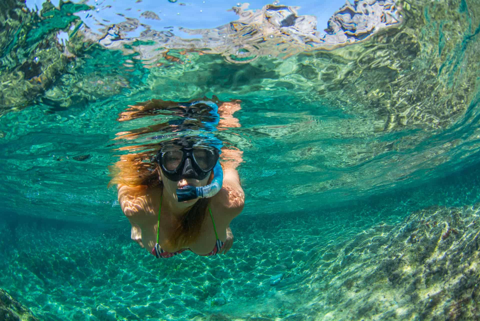snorkeling tenerife snorkeling tenerife