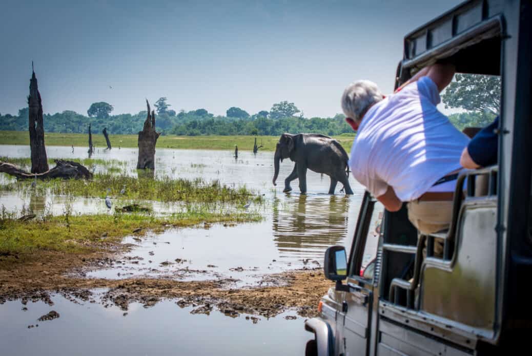 Safari au parc de Udawalawe