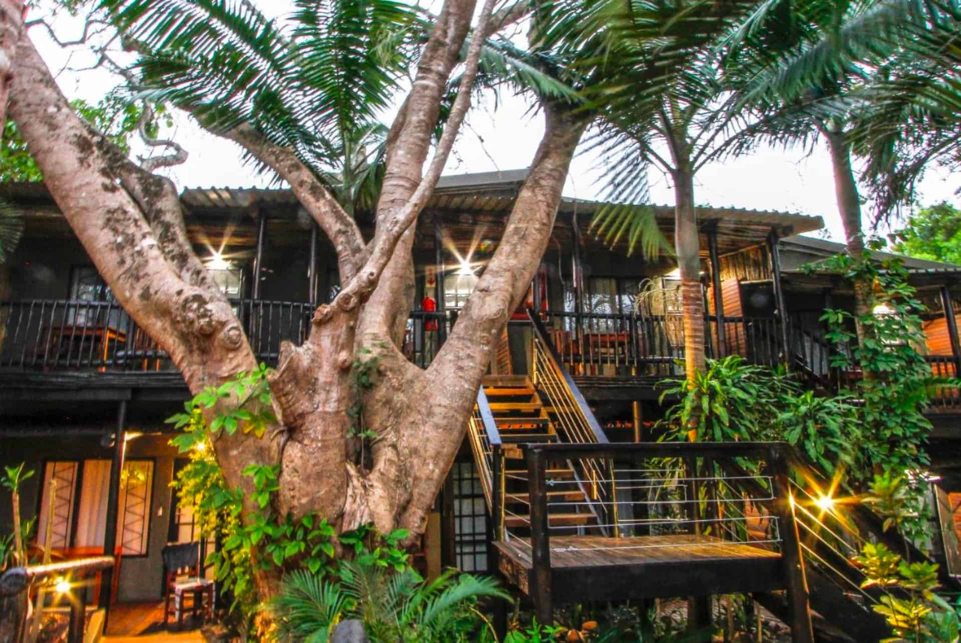 umlilo lodge afrique du sud umlilo lodge afrique du sud