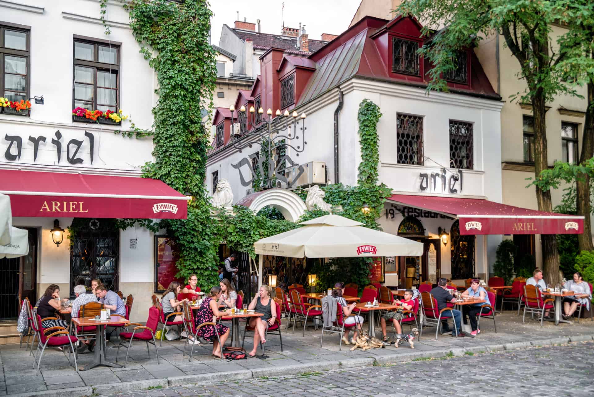 decouvrir cracovie en un weekend restaurant restaurant