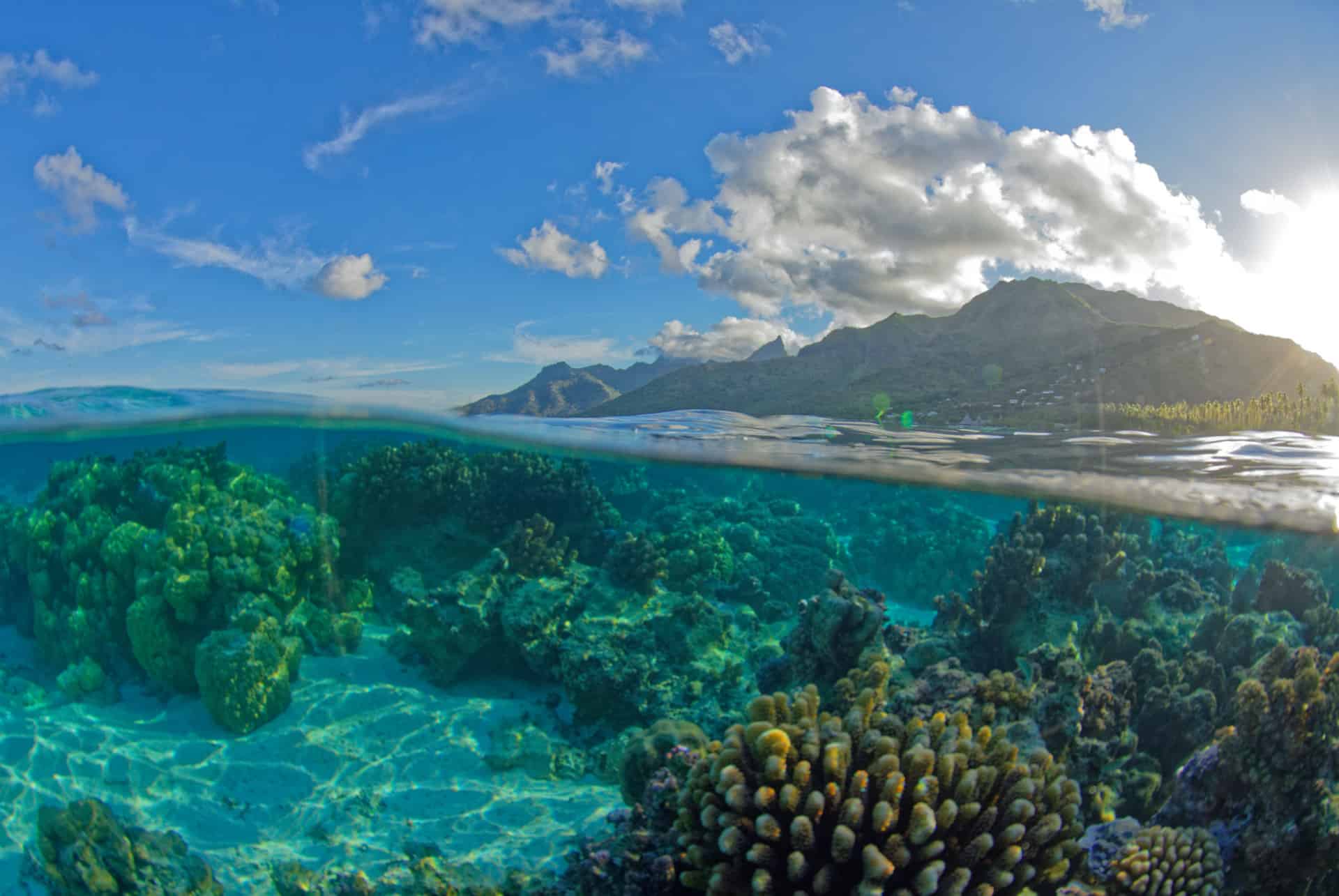 se loger a moorea se loger a moorea
