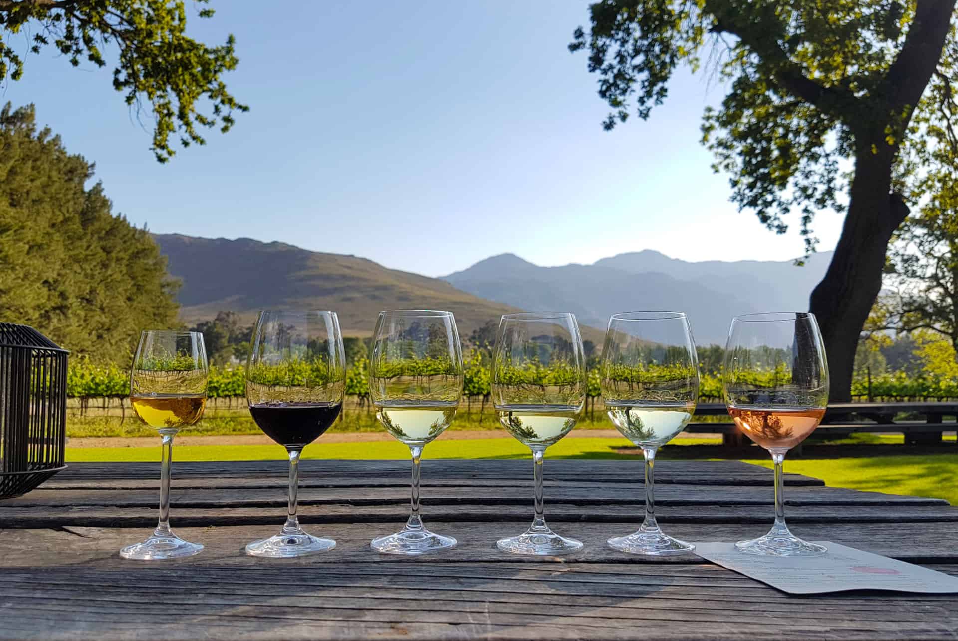 stellenbosch wine festival