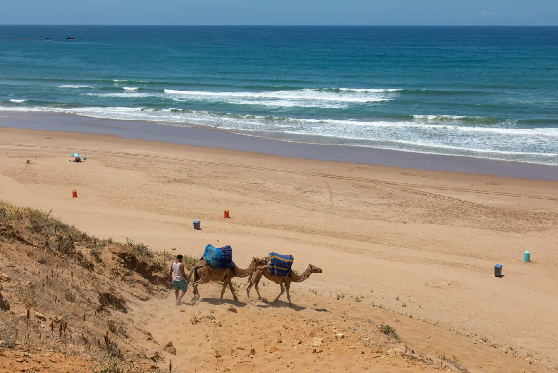 que faire a tanger balade en chameau que faire a tanger balade en chameau