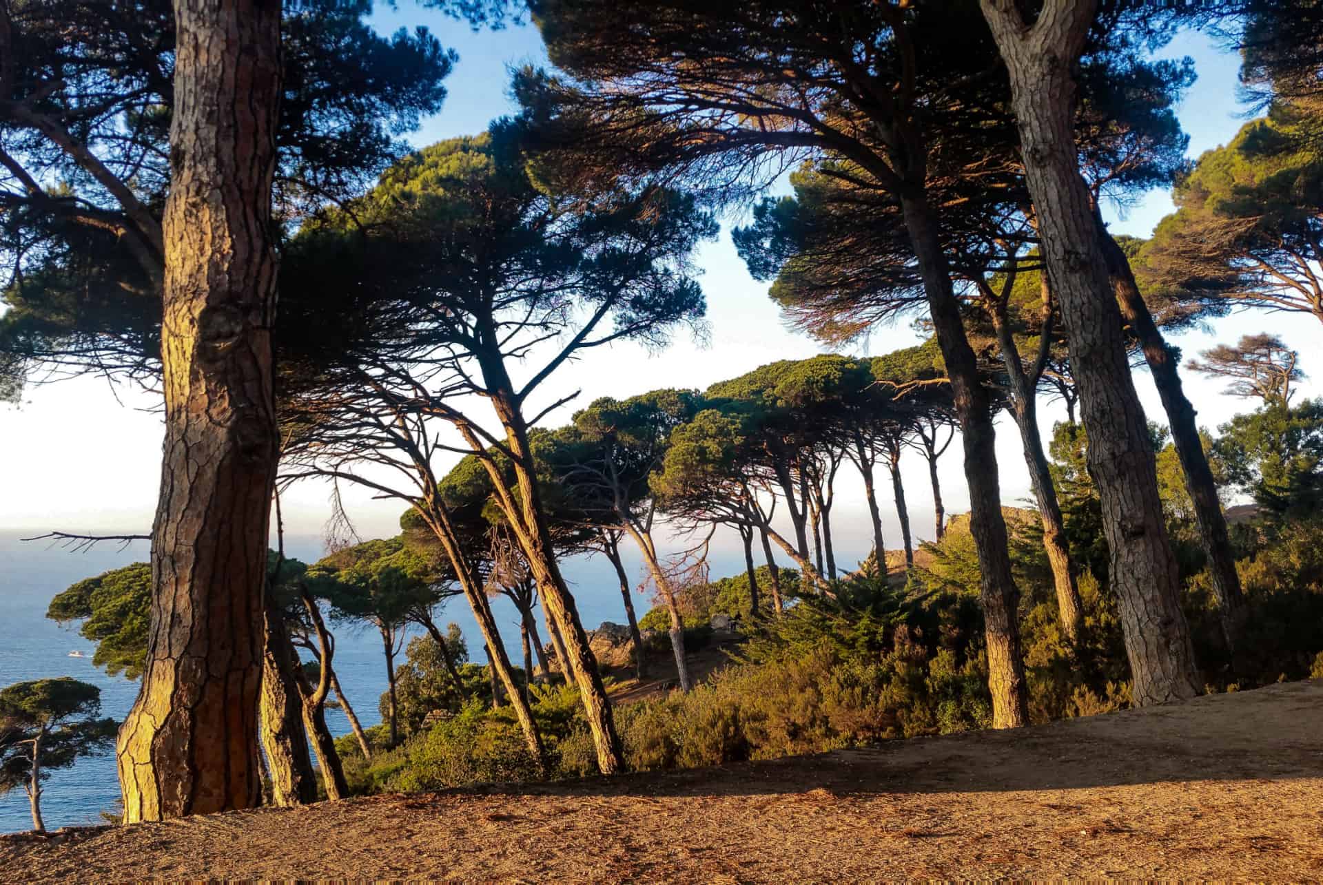 que faire tanger parc perdicaris que faire tanger parc perdicaris