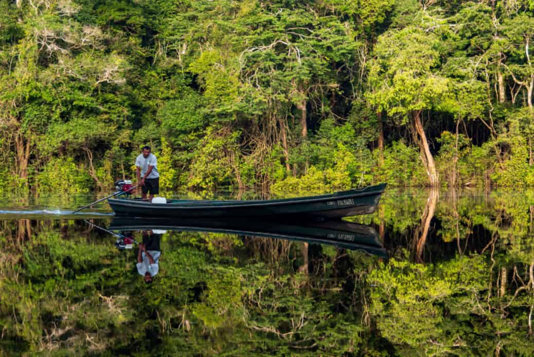 Pêche au piranha et observation des alligators