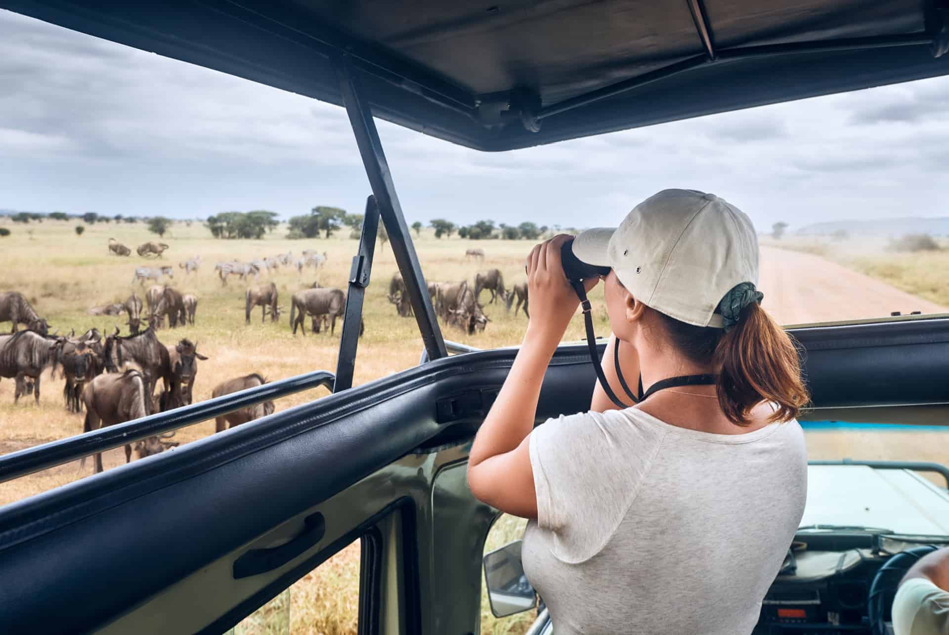 quand partir au kenya activites quand partir au kenya activites