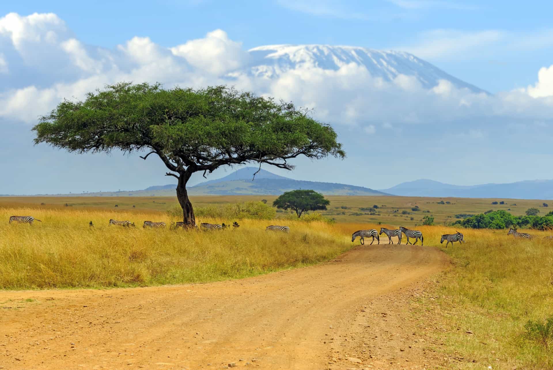 quand partir au kenya saison seche saison seche
