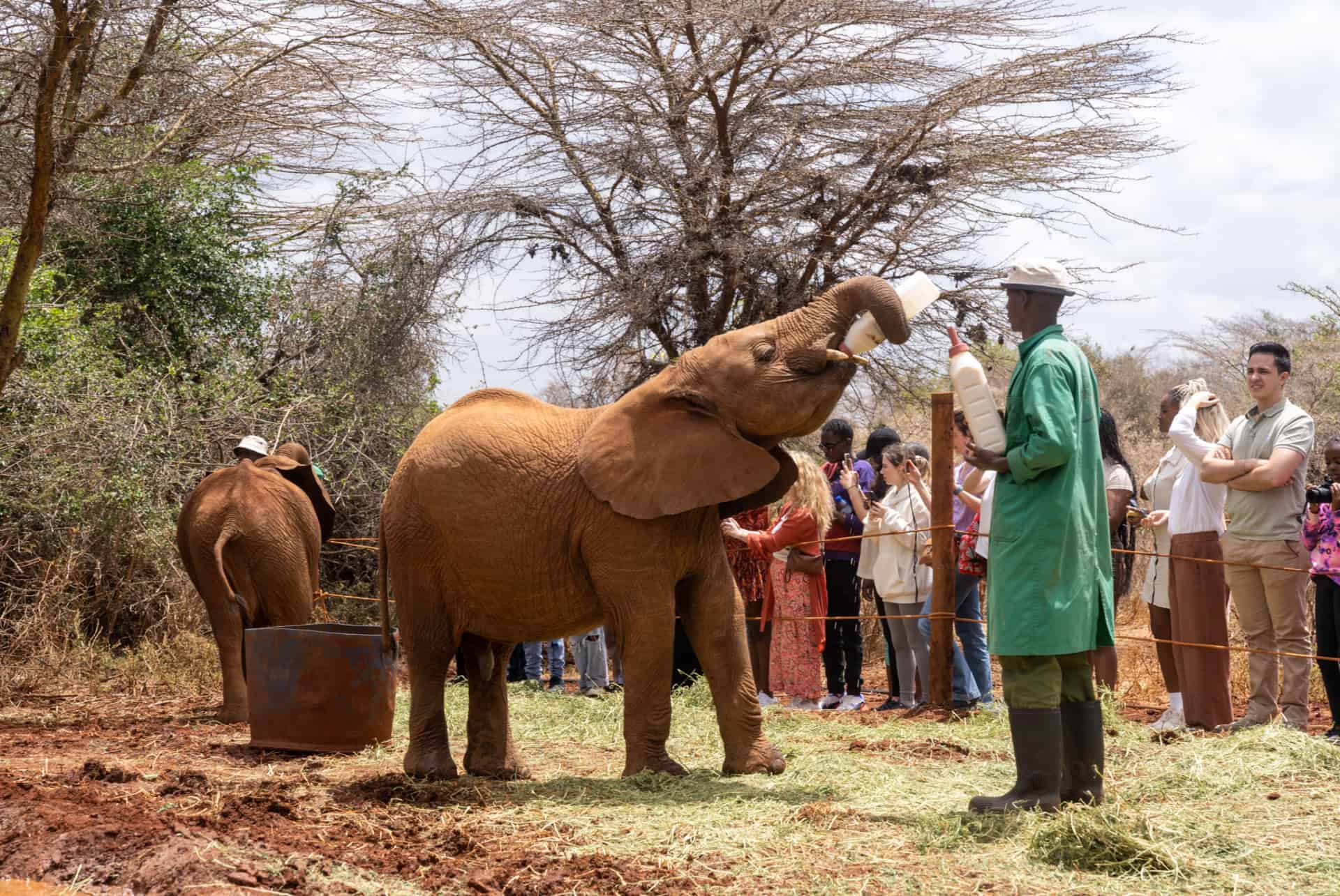quand partir au kenya touristes touristes