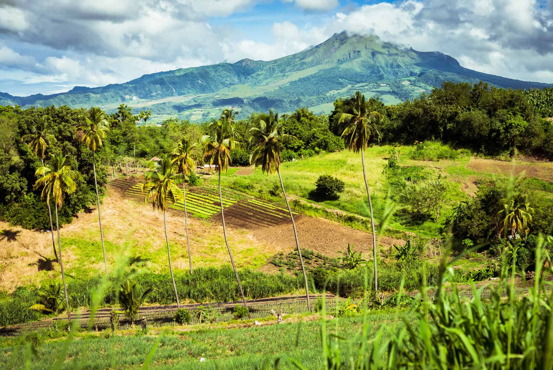 montagne pelee martinique montagne pelee martinique