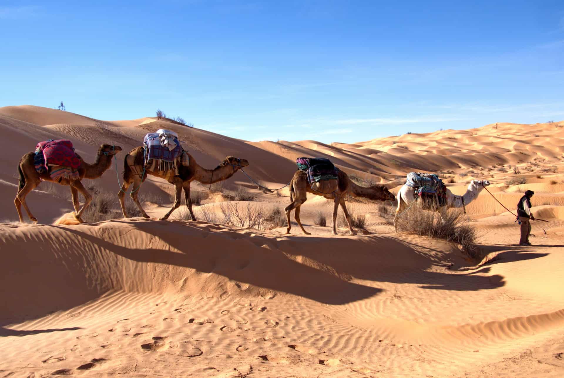 desert tunisie desert tunisie