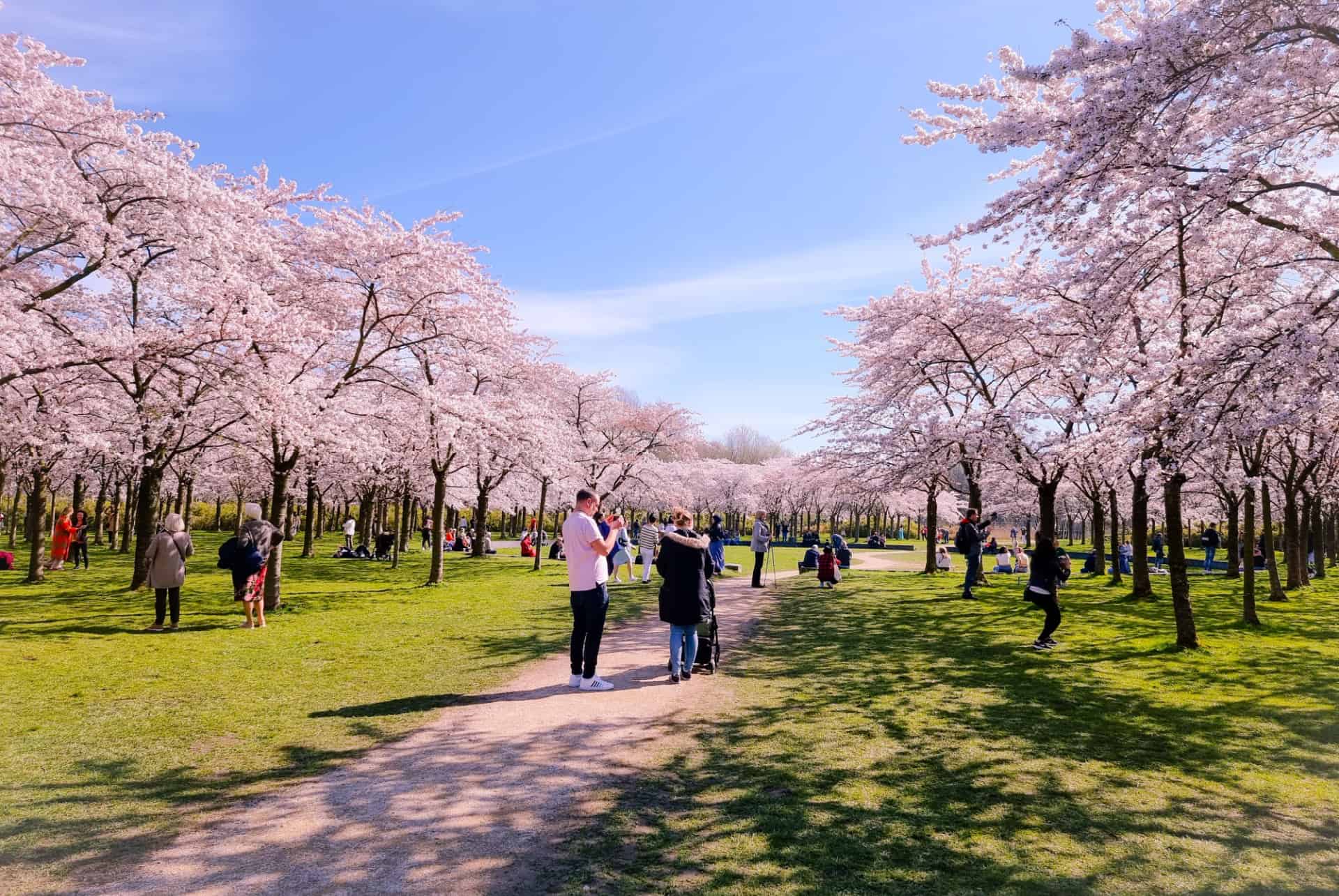 foret parc amsterdam foret parc amsterdam