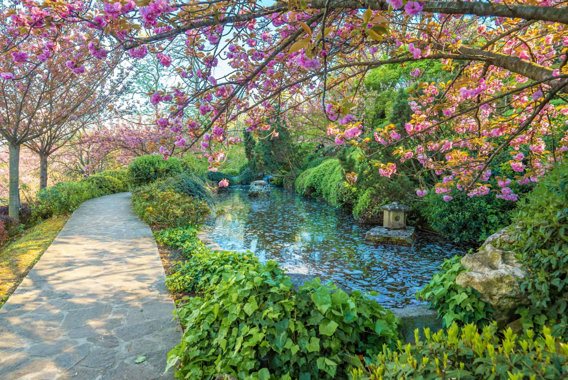 jardin botanique rome jardin botanique quartier trastevere rome