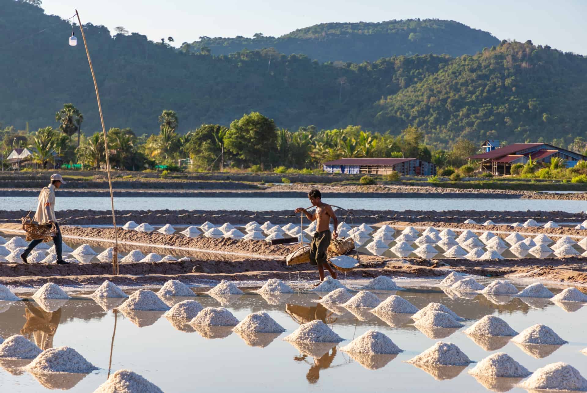 marais salant kep que faire cambodge marais salant kep que faire cambodge