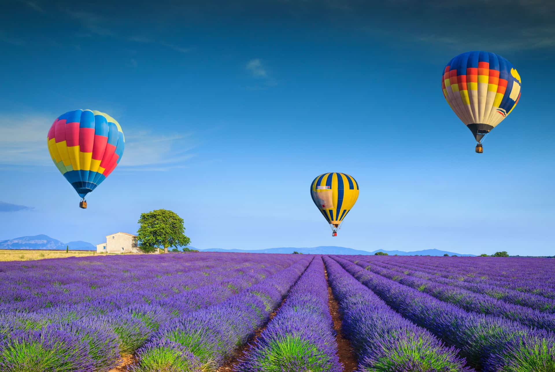 montgolfiere provence lavande montgolfiere provence lavande