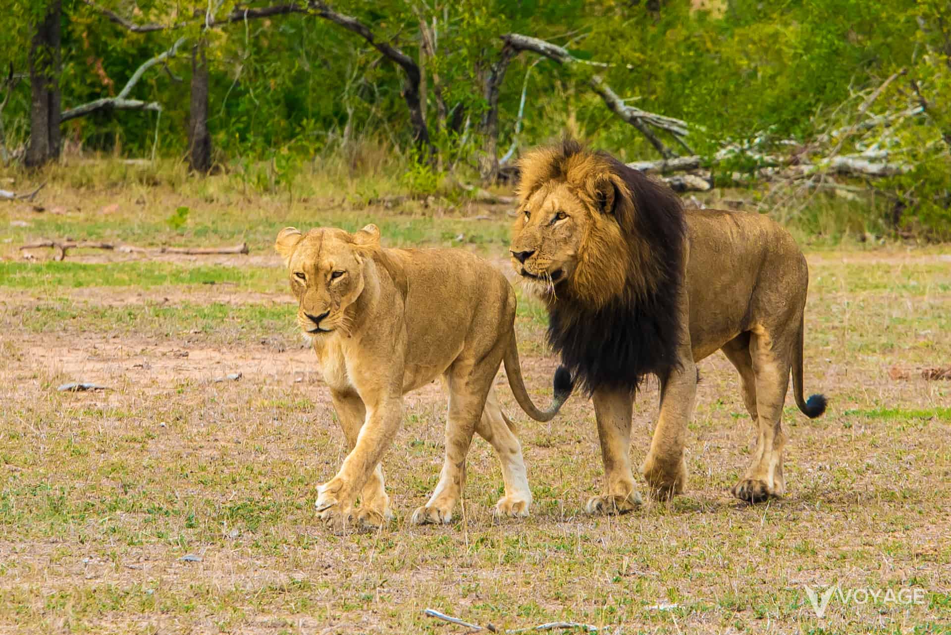 reserve naturelle afrique du sud reserve naturelle afrique du sud