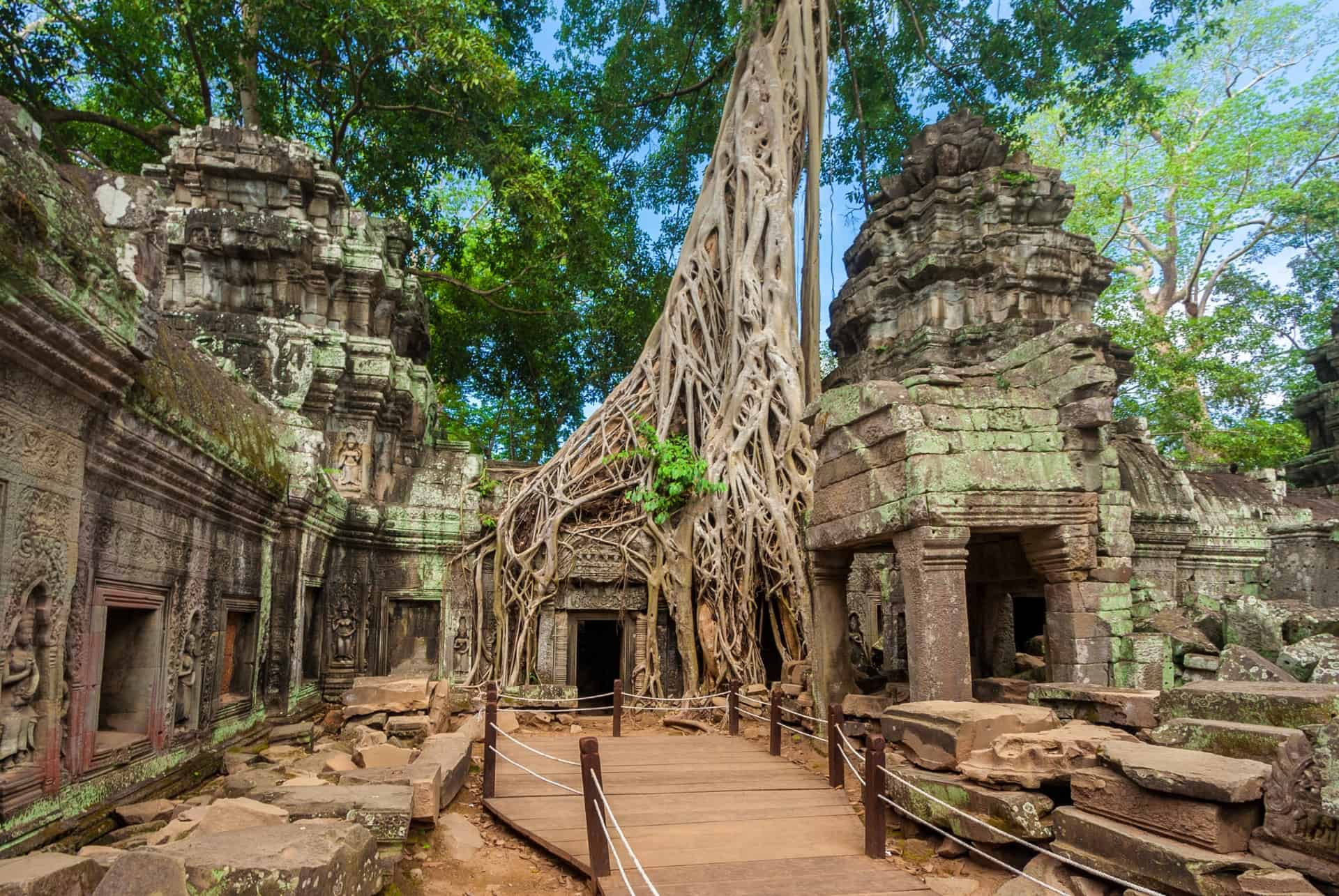 ta prohm angkor ta prohm angkor