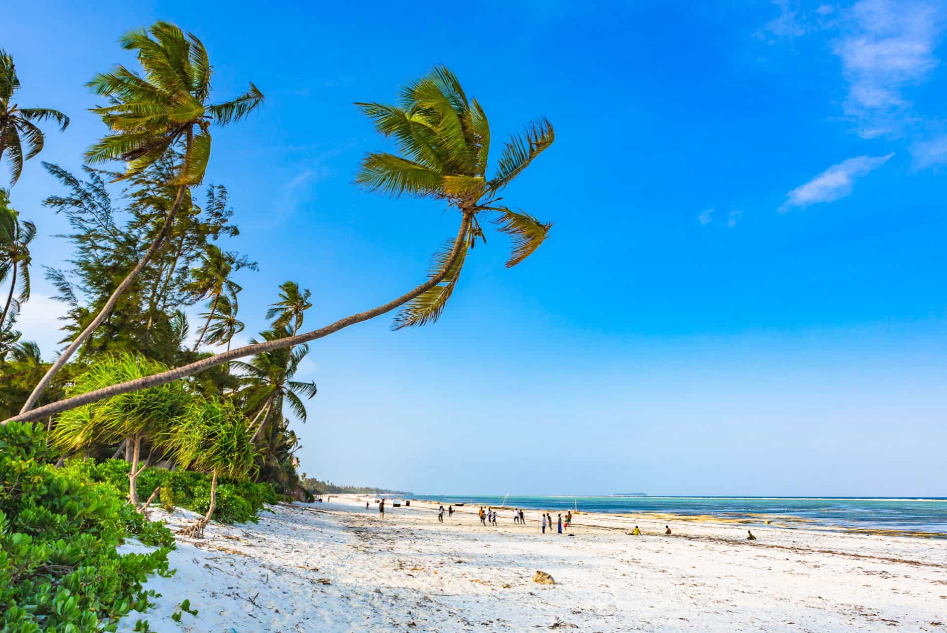 Matemwe plage zanzibar Matemwe plage zanzibar