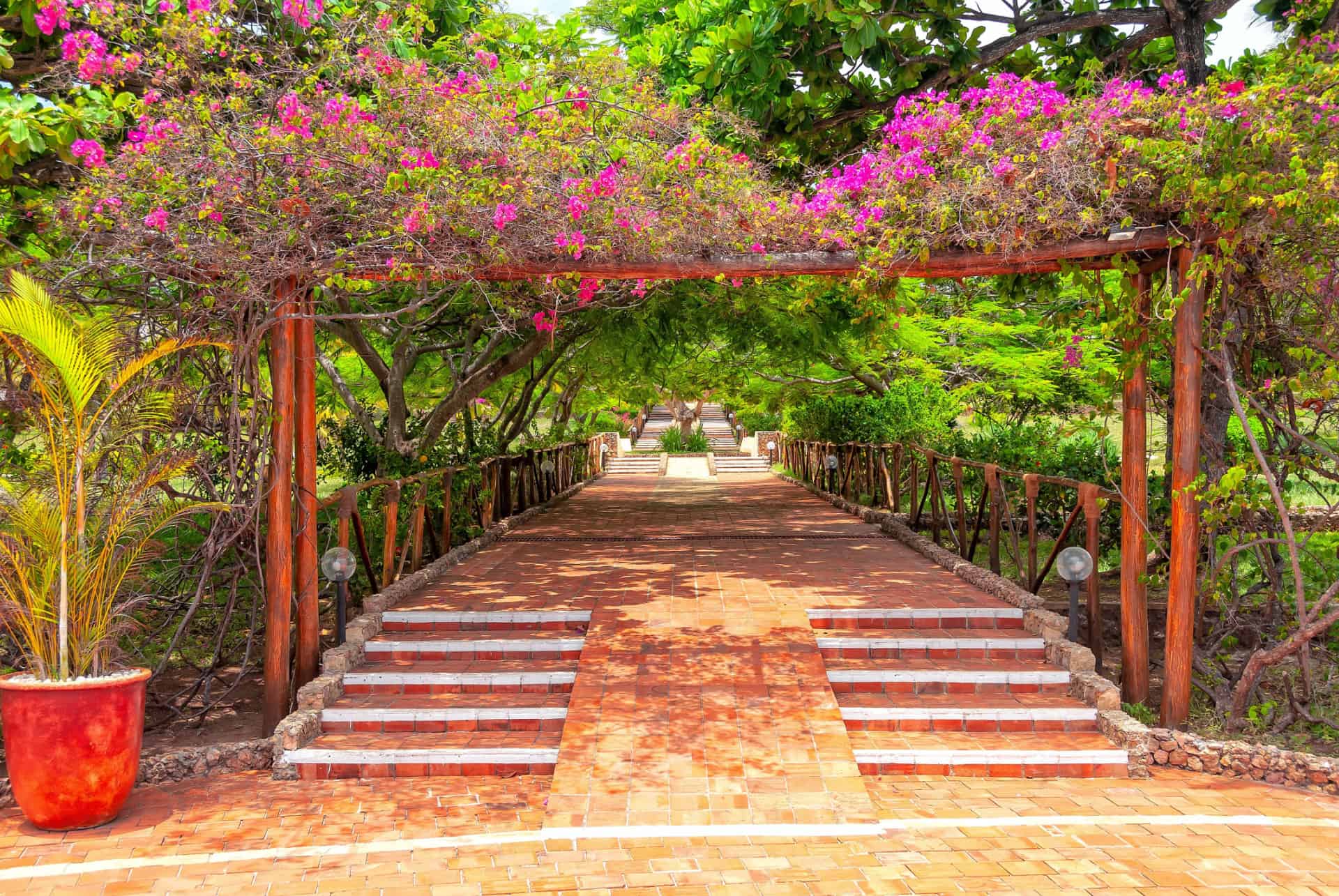 jardin dongwe jardin dongwe