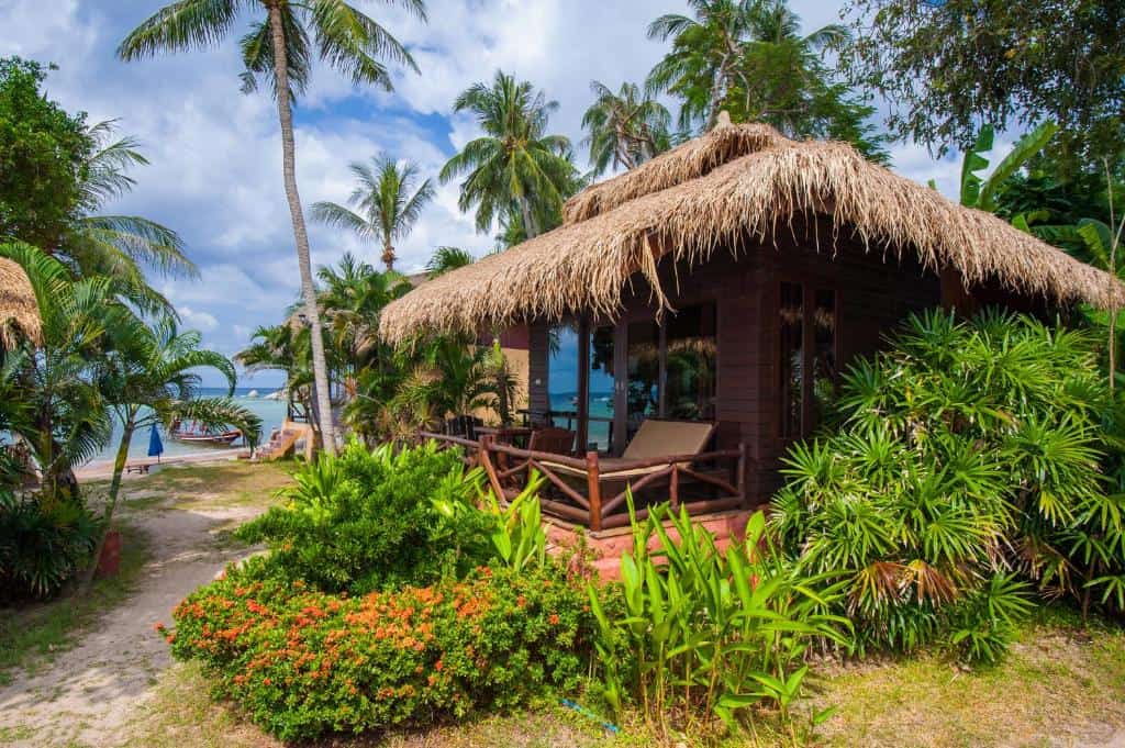 palm leaf resort koh tao thailande palm leaf resort koh tao thailande
