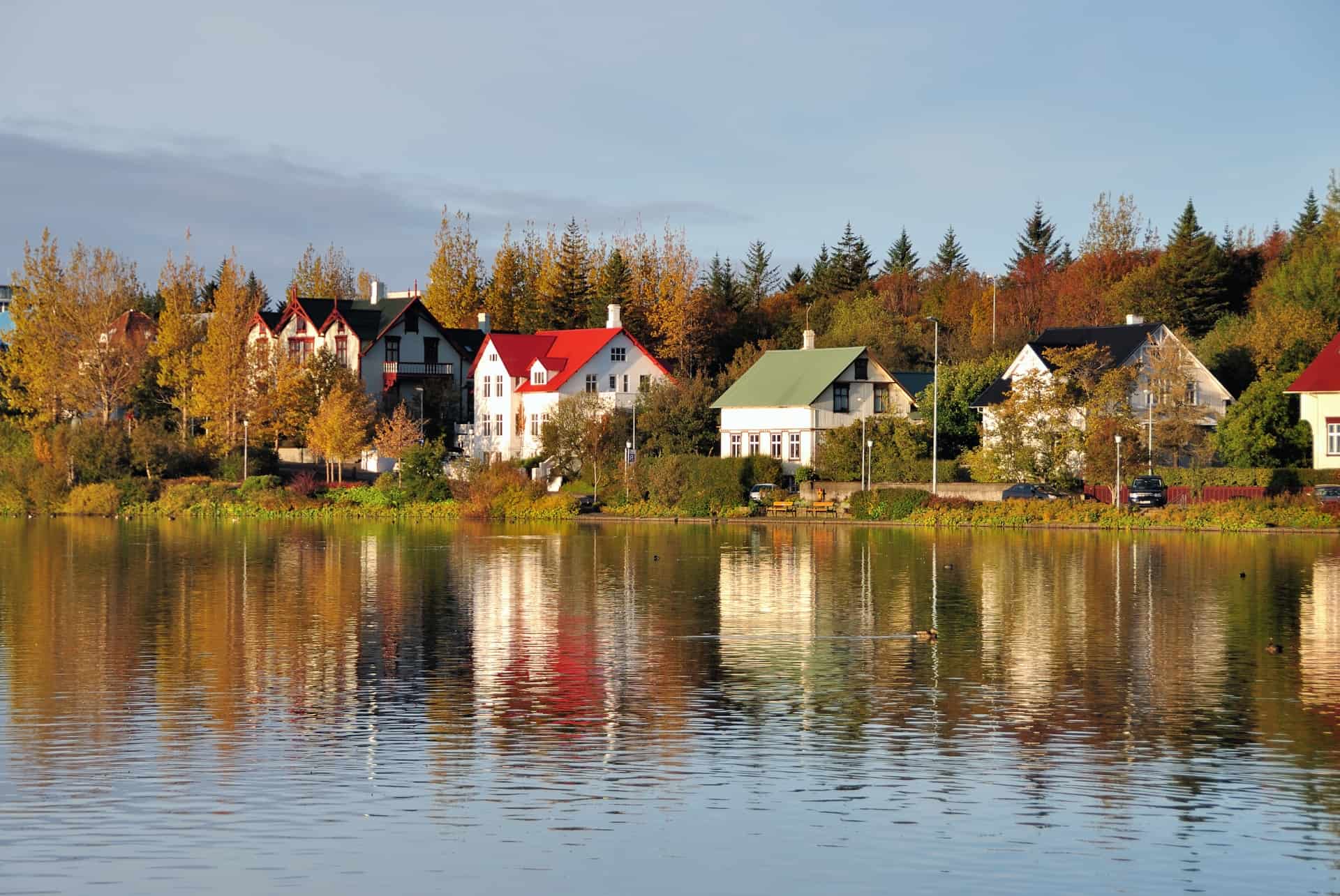 tjornin vesturbaer tjornin vesturbaer