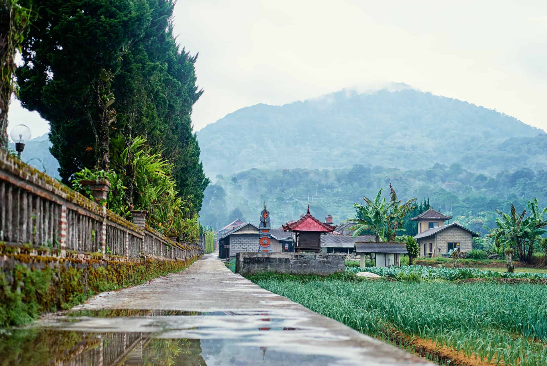 bali en fevrier paysage pluie