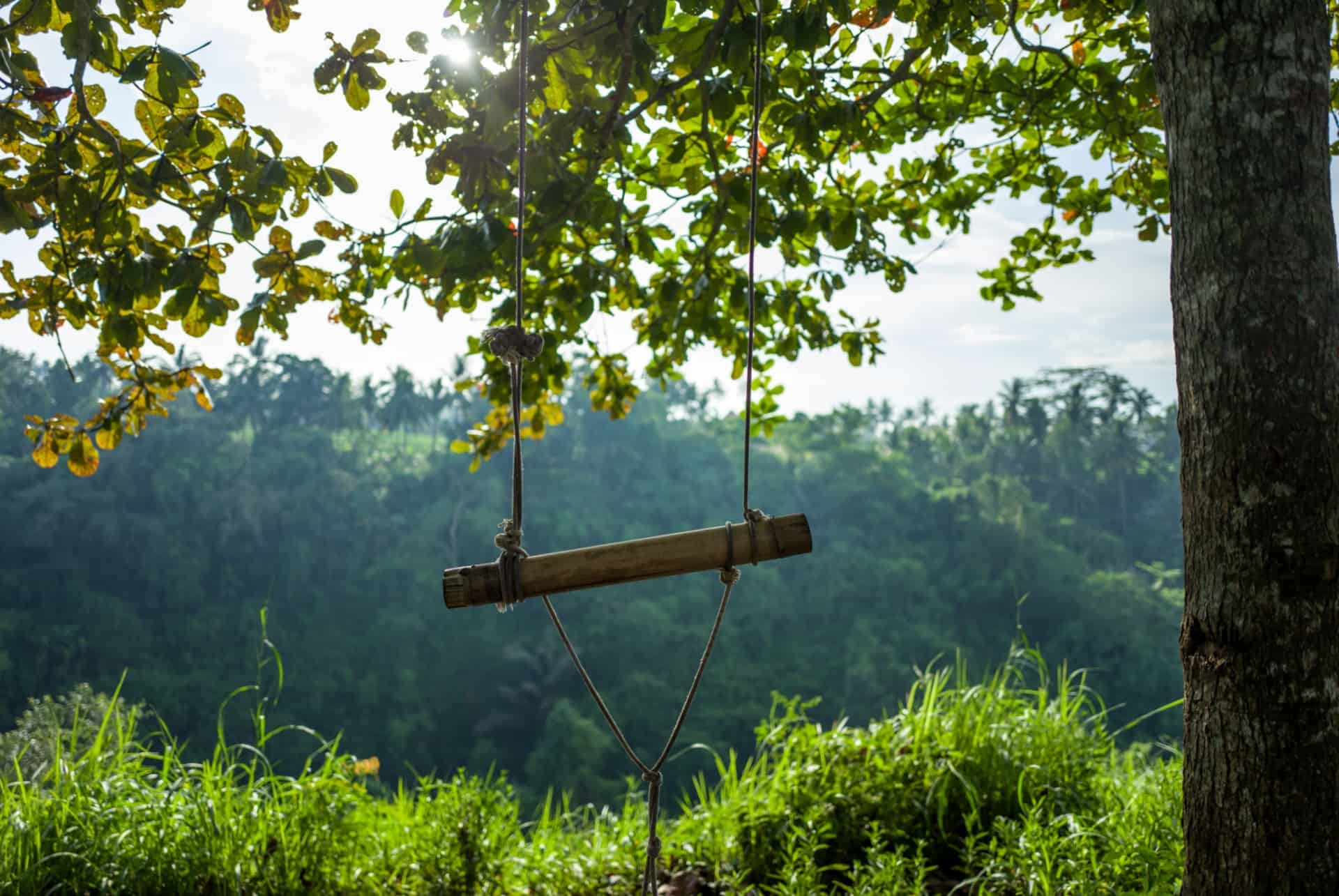 campuhan ridge walk ubud campuhan ridge walk ubud