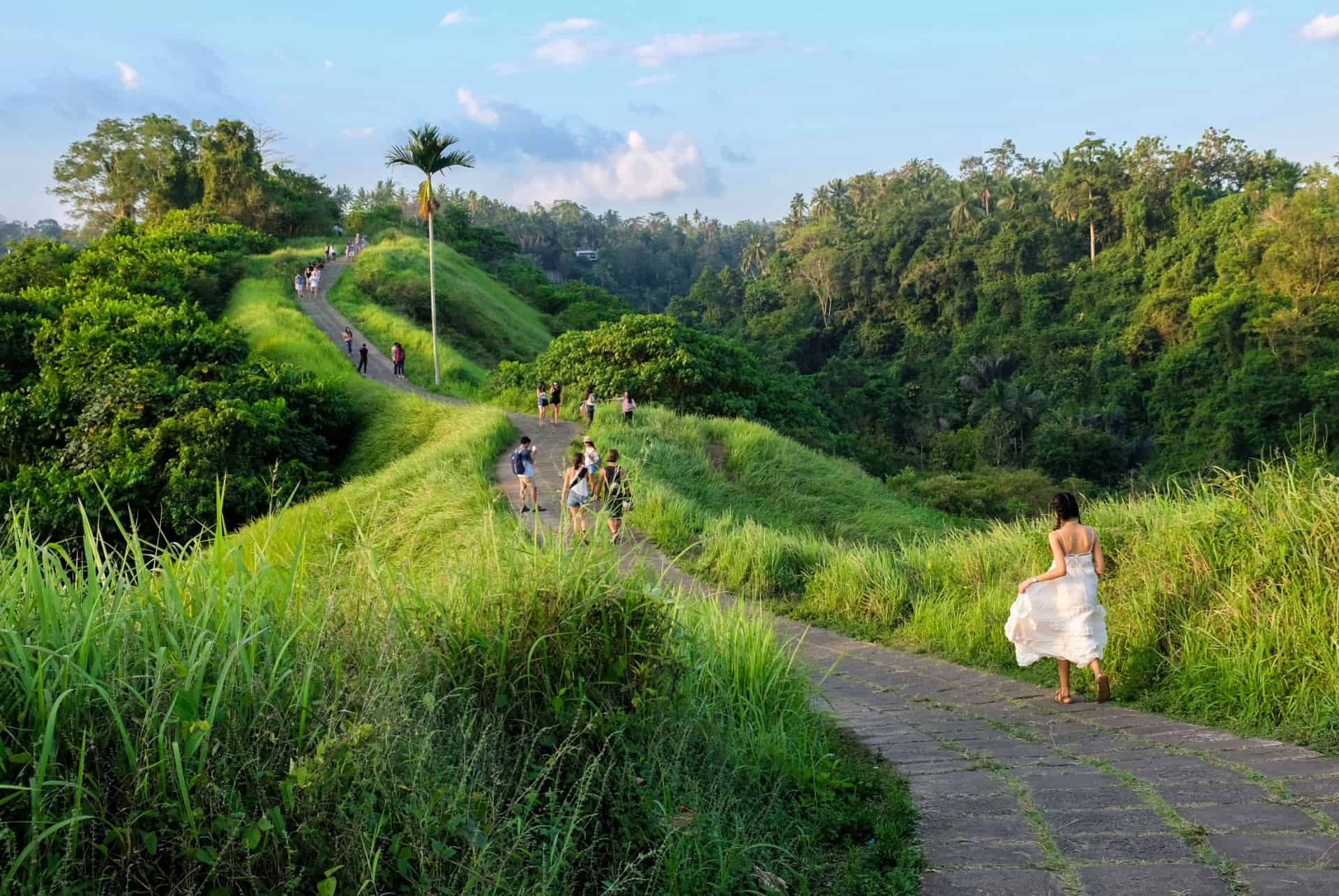 campuhan ridge walk campuhan ridge walk
