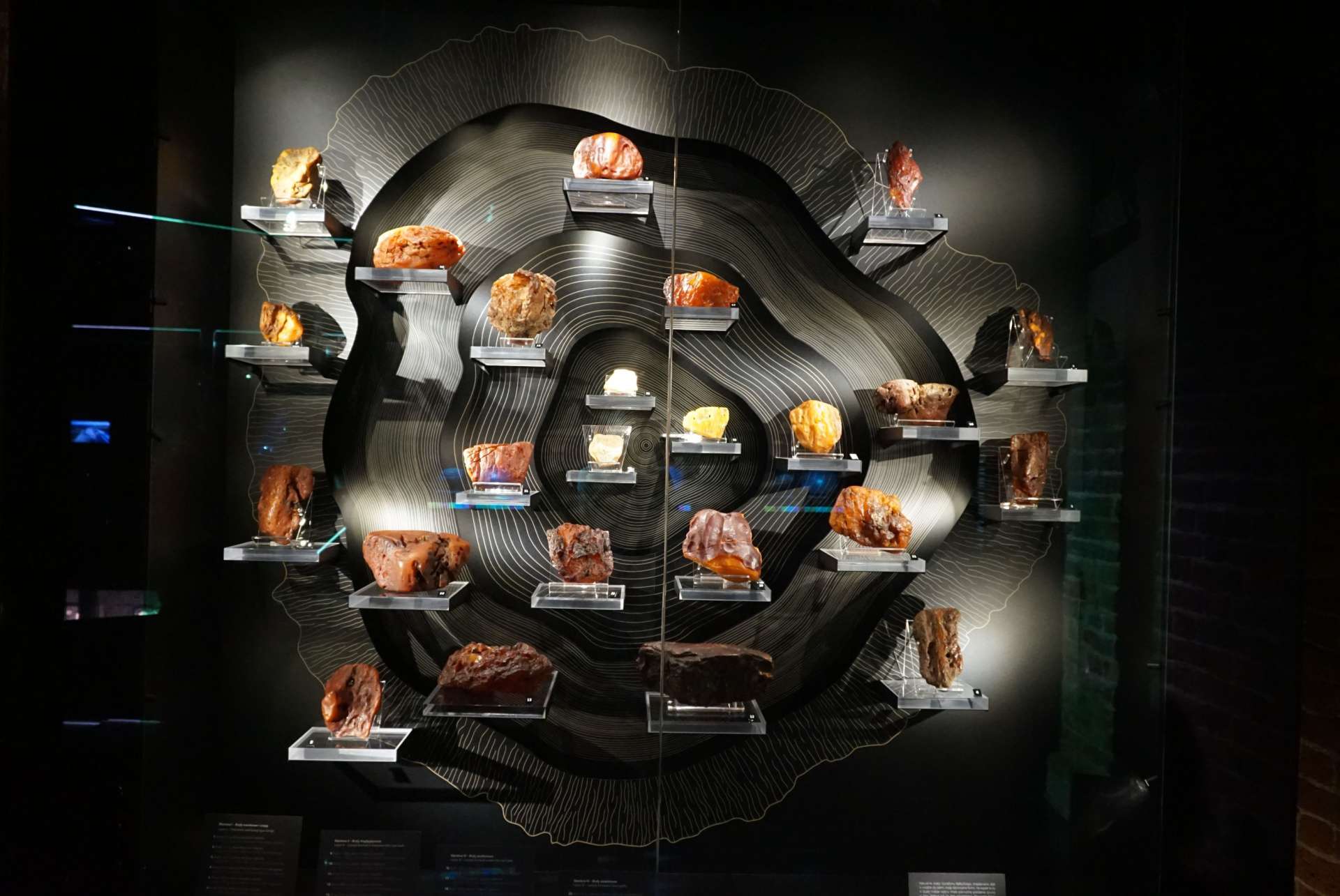 que faire a gdansk musee ambre que faire a gdansk musee ambre