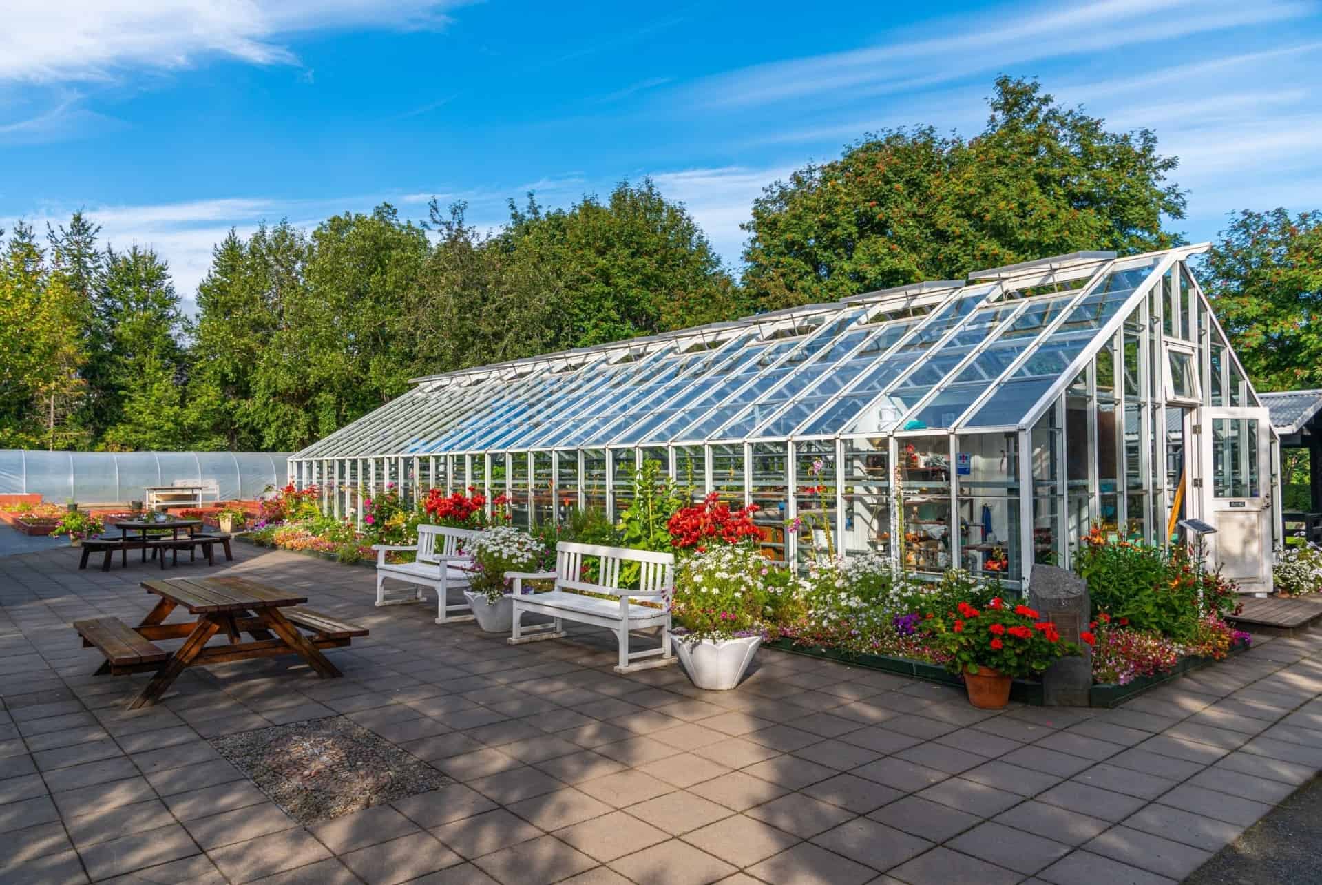 jardin botanique akureyri jardin botanique akureyri