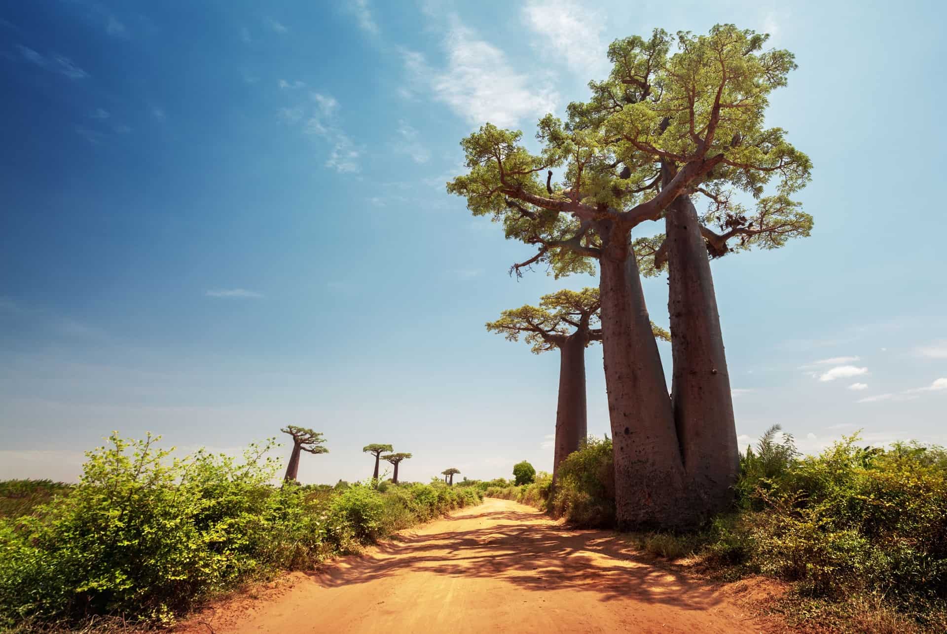 quand partir a madagascar saison sche saison seche