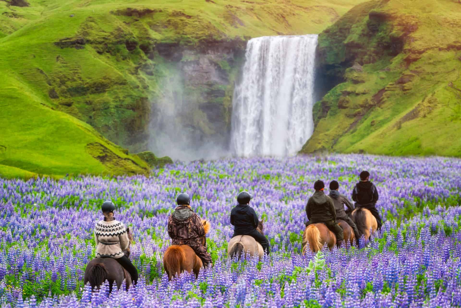 balade a cheval islande ete balade a cheval islande ete