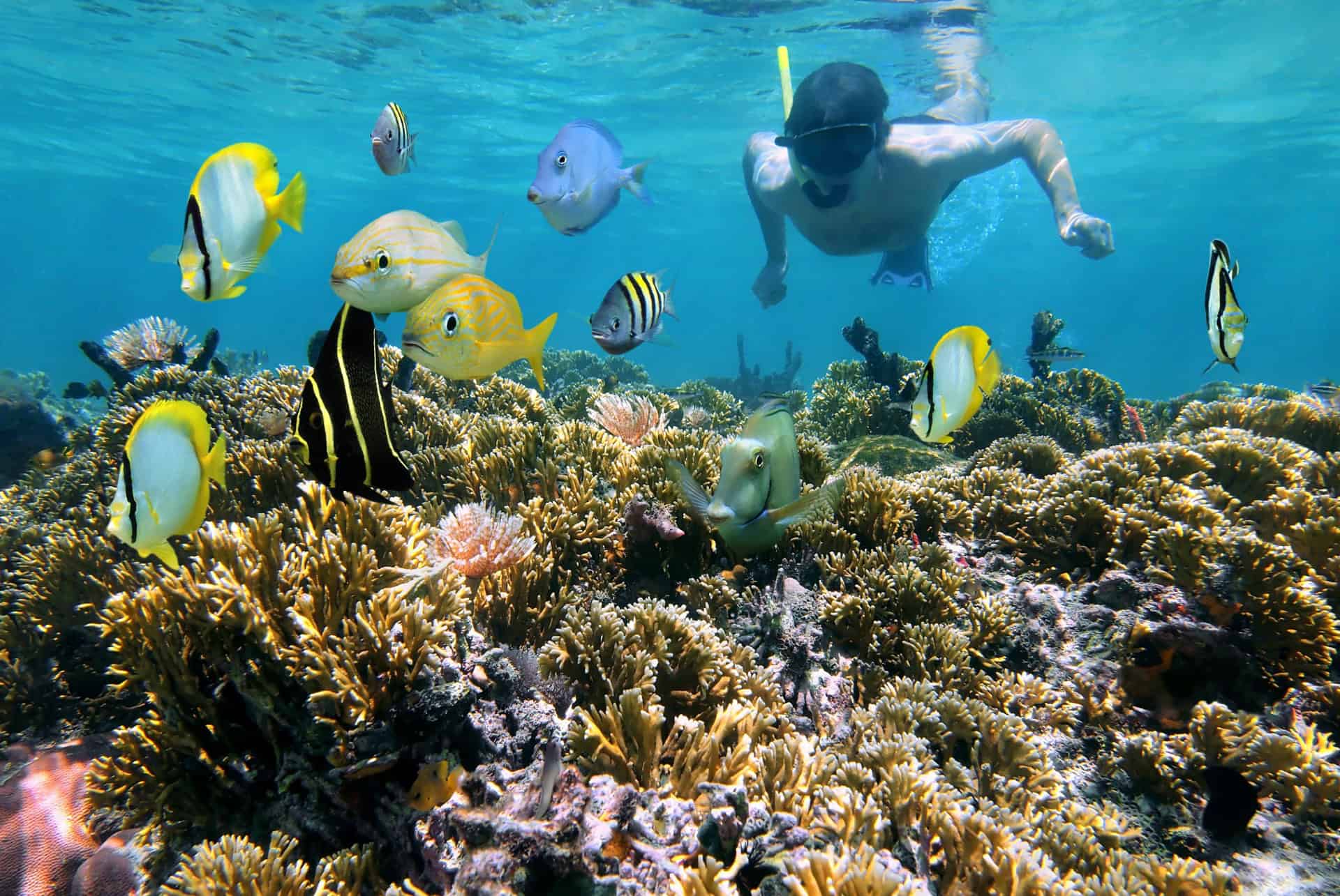 fonds marins costa rica