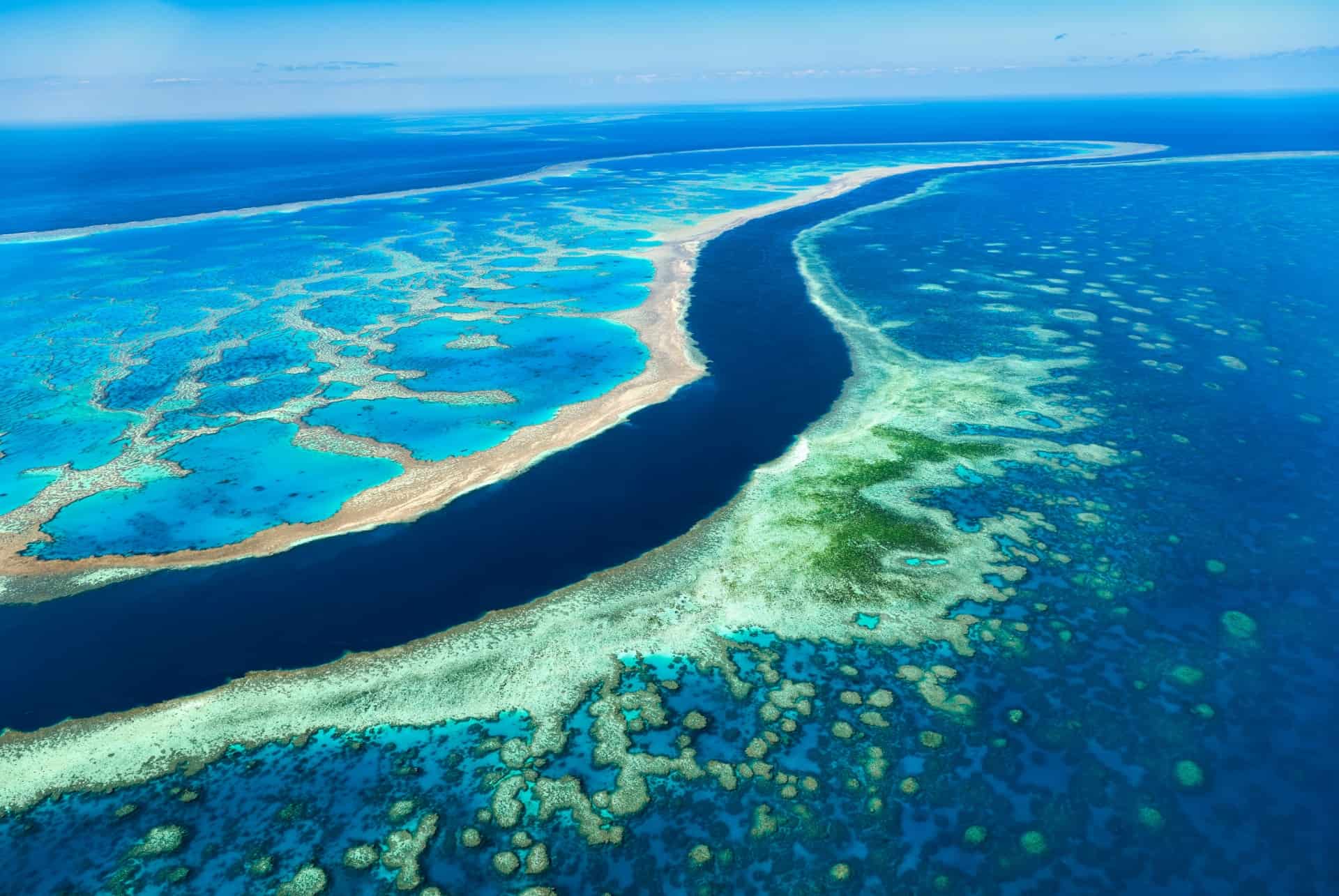 grande barriere de corail grande barriere de corail