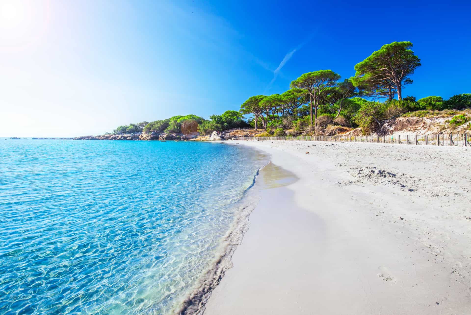 plus belles plage de corse palombaggia palombaggia