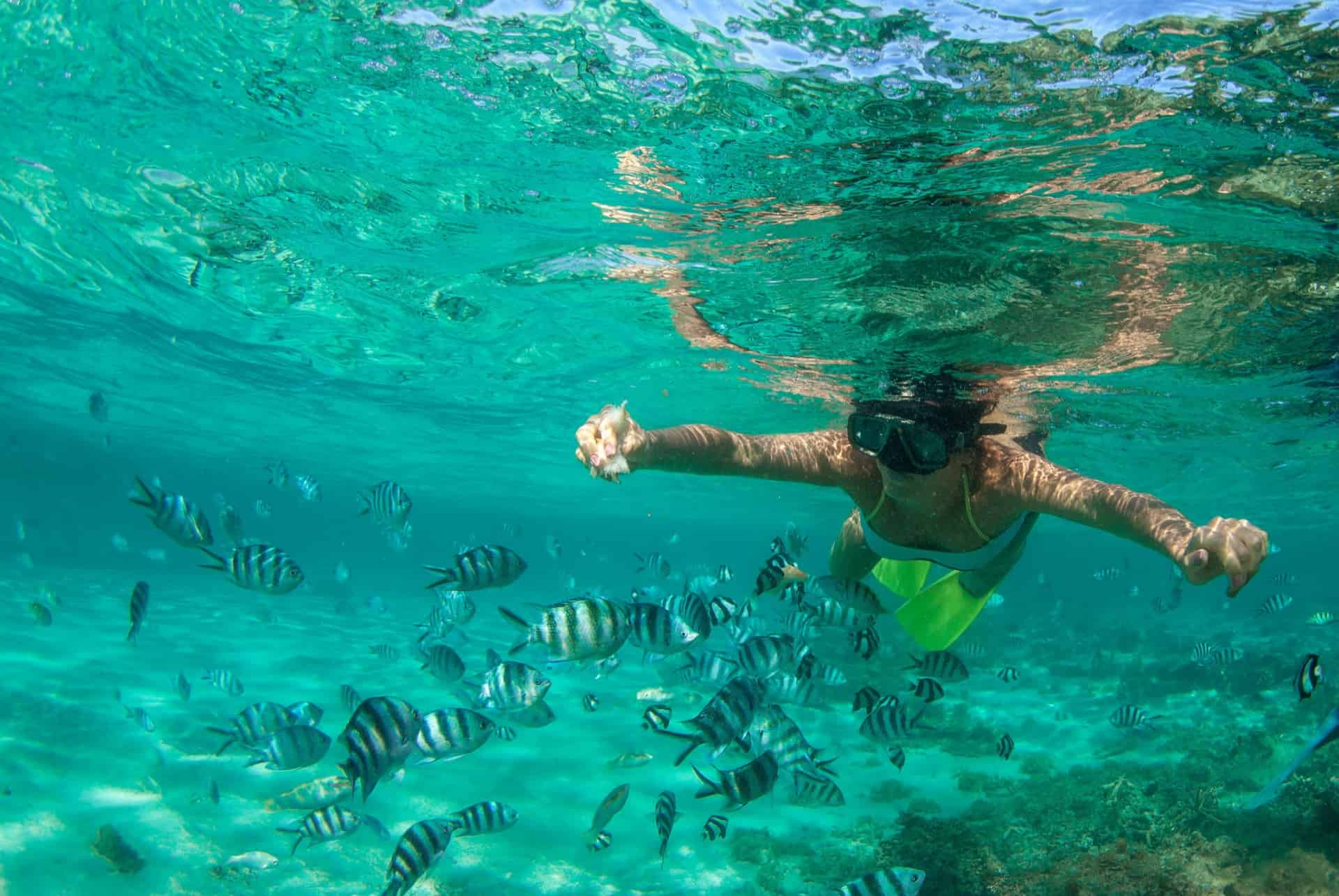 plongee ile maurice en octobre plongee ile maurice en octobre