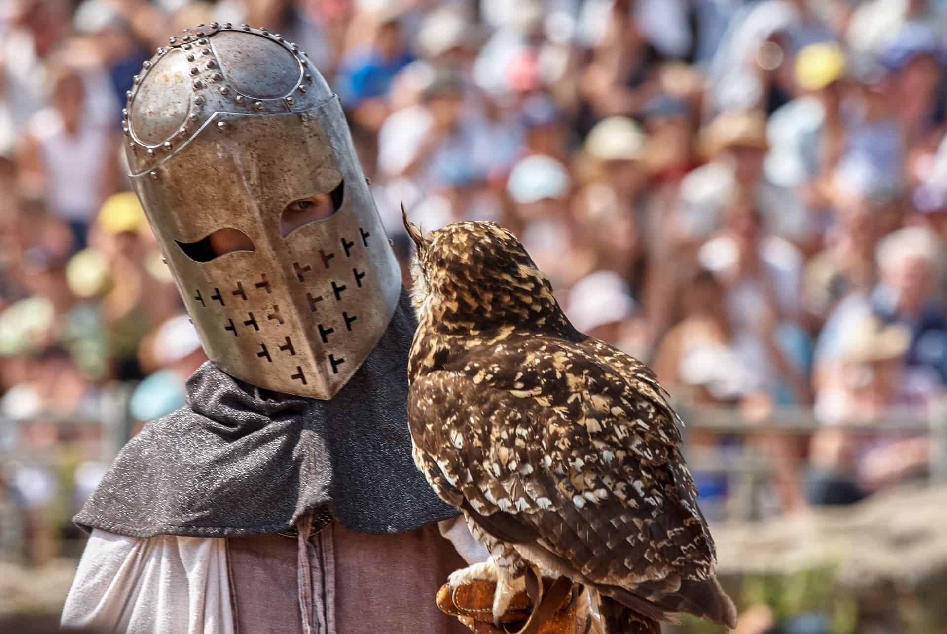 Chevalier et hibou grand-duc lors d’un spectacle au Puy du Fou Chevalier et hibou grand-duc lors d’un spectacle au Puy du Fou