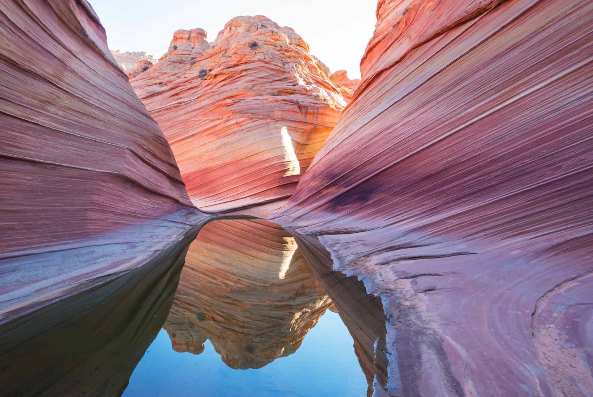 the wave arizona the wave arizona