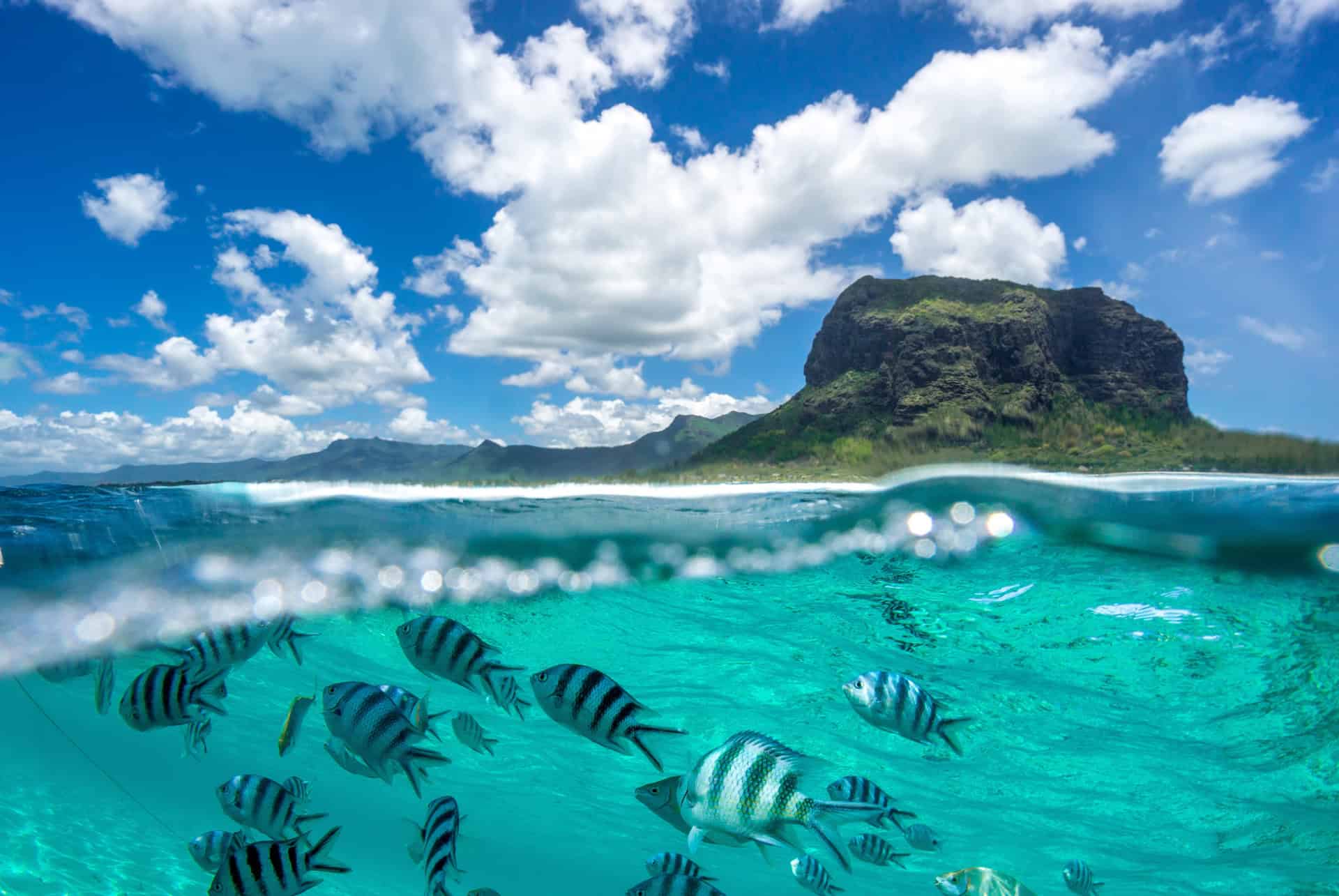 L'île Maurice