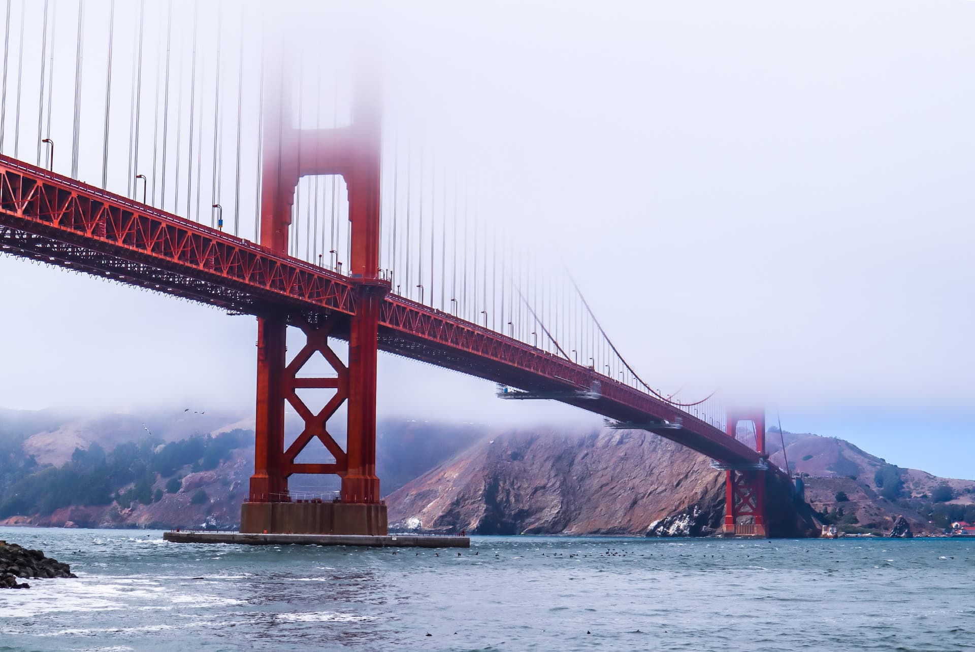 golden gate fog hiver golden gate fog hiver
